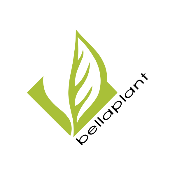 bellaplant.png
